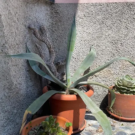 شقة Acqua E Menta *